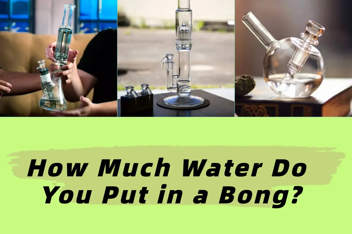 How Much Water Do You Put in a Bong A Complete Guide for Beginners