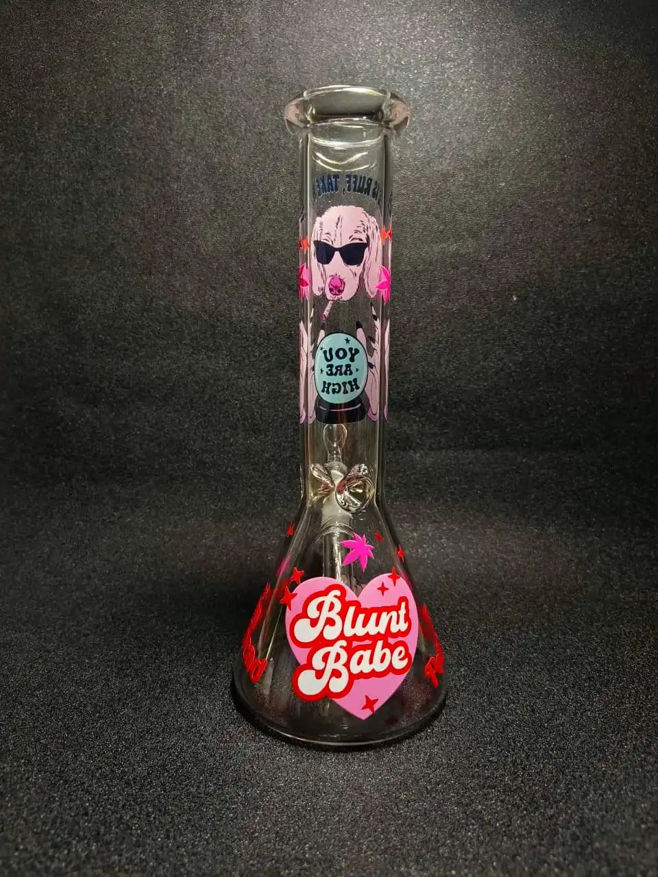10" Pink Dog Fortune “You Are High” Beaker Glass Bong