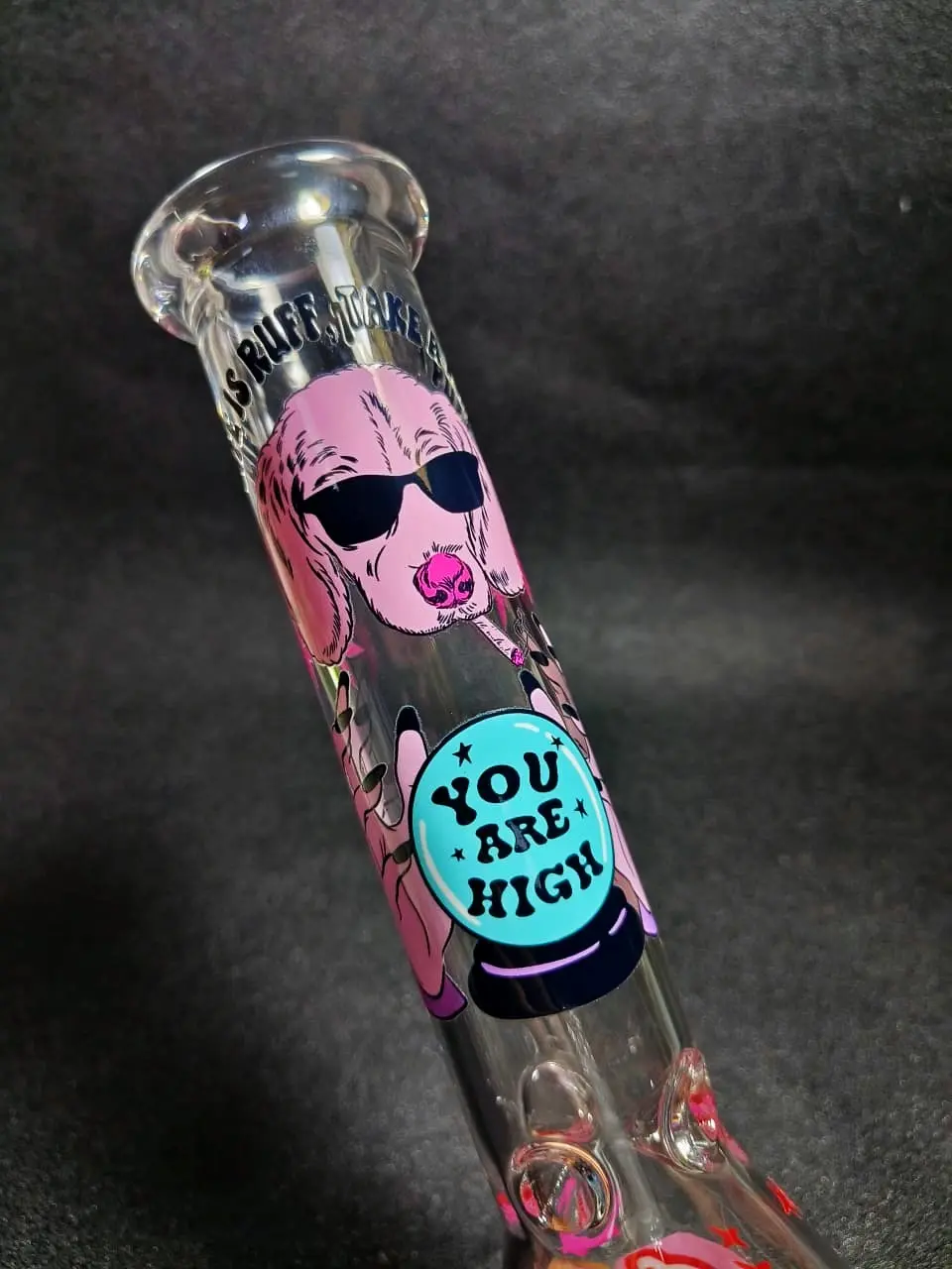 10" Pink Dog Fortune “You Are High” Beaker Glass Bong