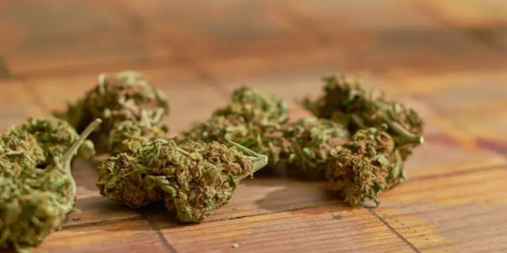 Quality Weed