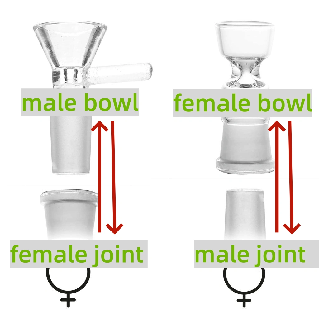 The male bowl goes into the female joint, and the female bowl goes over the male joint.