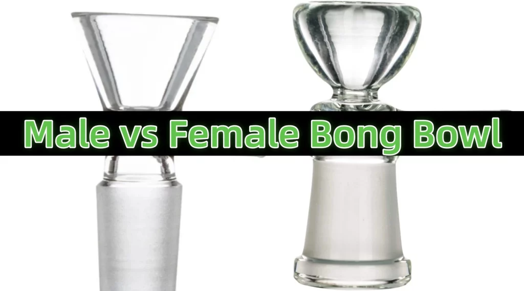 Male vs. Female Bong Bowls: A Clear Guide for Beginners