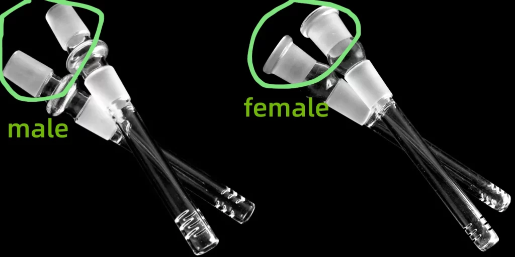 Comparison of male and female bong downstems showing male downstem with narrow end and female downstem with wider opening.