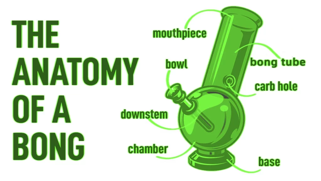 The Anatomy of a Bong: A Guide to Its Parts & Functions