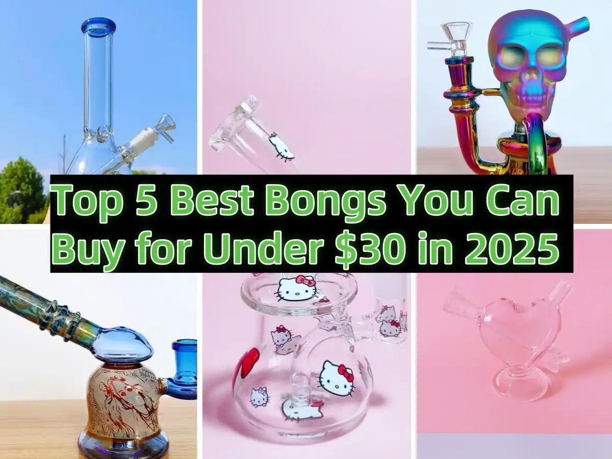 Top 5 Best Bongs You Can Buy for Under $30 in 2025