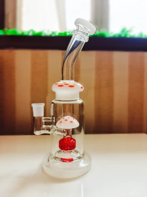 10" Whimsical Mushroom Bong with Disc Perc