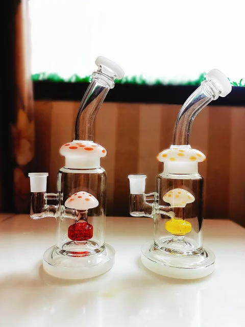 10" Whimsical Mushroom Bong with Disc Perc